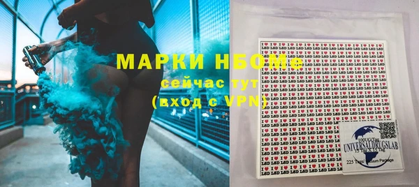 прущие грибы Зерноград