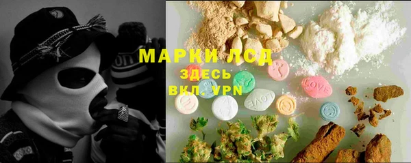 прущие грибы Зерноград